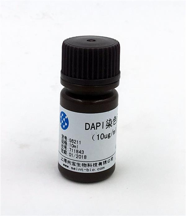 DAPI染色液（5µg/ml）