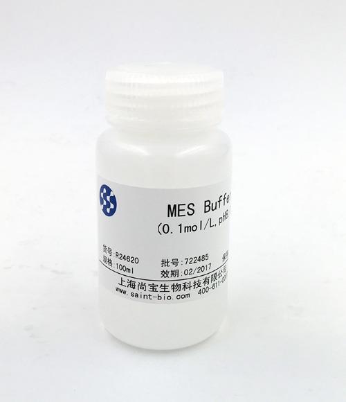 MES Buffer(0.1M,pH=8.0)