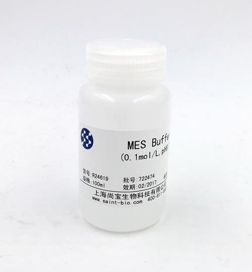 MES Buffer(0.1M,pH=6.5)