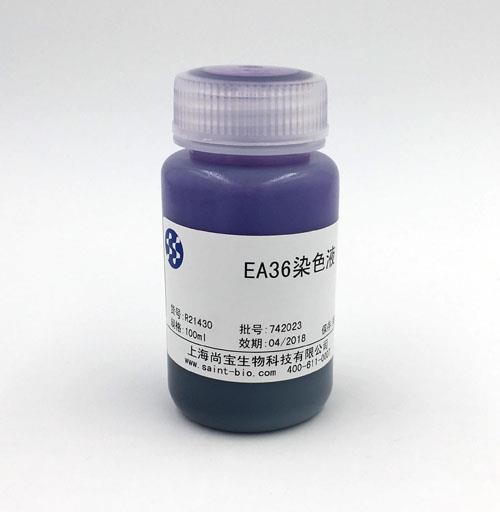 EA36染色液