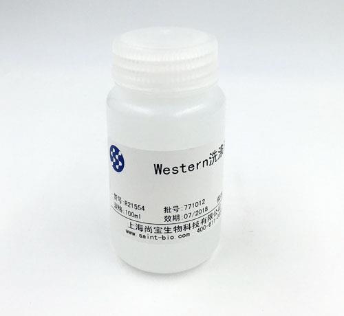 Western 洗涤液
