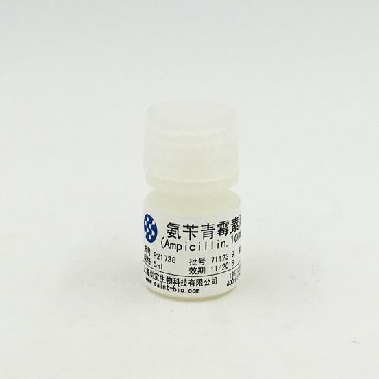 氨苄青霉素溶液（Ampicilin，100mg/ml）