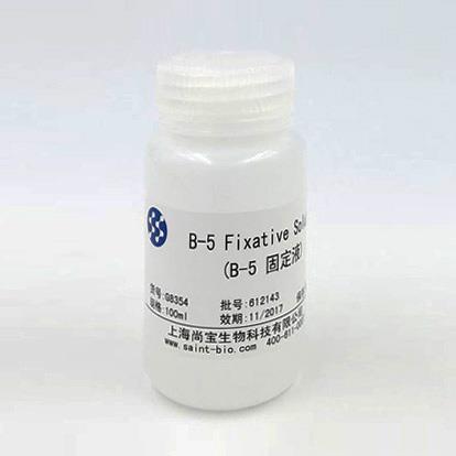 B-5 Fixative Solution(B-5固定液)