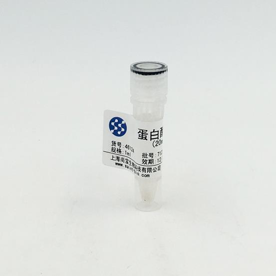 蛋白酶K溶液（20mg/ml）