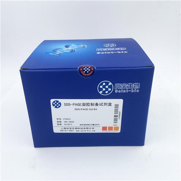 SDS-PAGE凝胶制备试剂盒