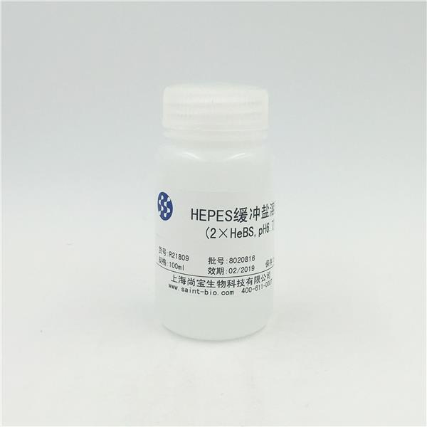 HEPES缓冲盐溶液（2×HeBs，pH=6.7，无菌）