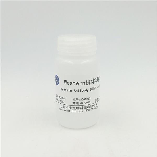 Western抗体稀释液（Western Antiboby Dilution Buffer）