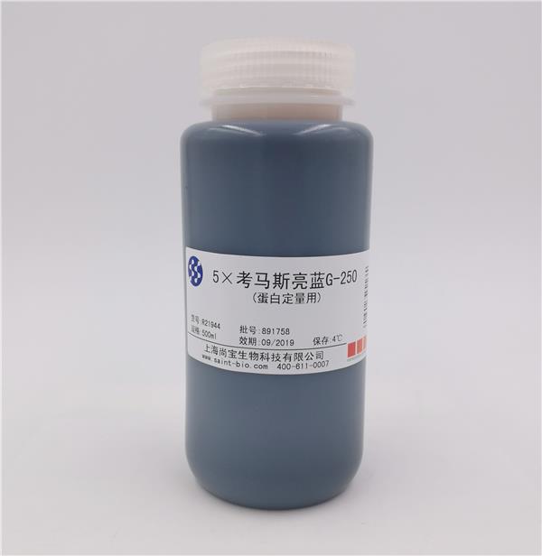 5×考马斯亮蓝G-250（蛋白定量用）