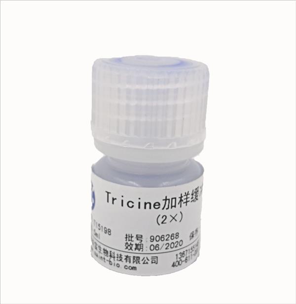 Tricine加样缓冲液（2×）