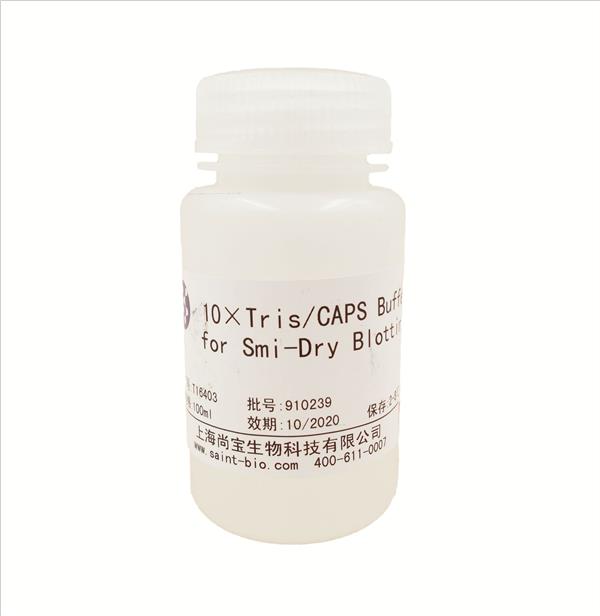 10× Tris/CAPS Buffer for Semi-Dry Blotting