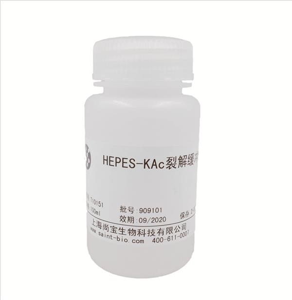 HEPES-KAc裂解缓冲液(无菌)