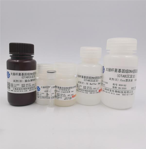 大肠杆菌基因组DNA提取试剂盒（CTAB沉淀法）