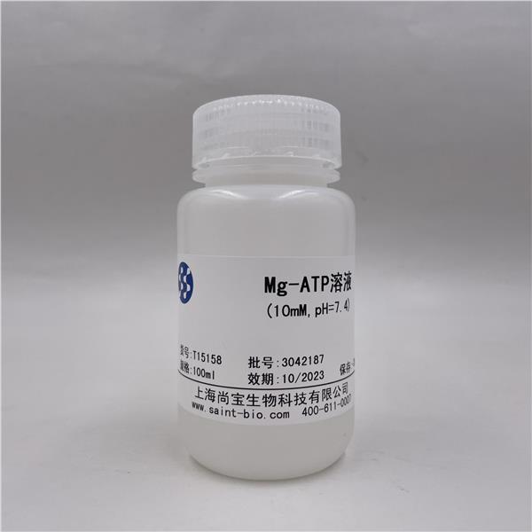 Mg-ATP溶液（10mM,pH=7.4）