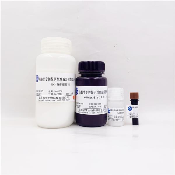 核酸非变性聚丙烯酰胺凝胶制备试剂盒