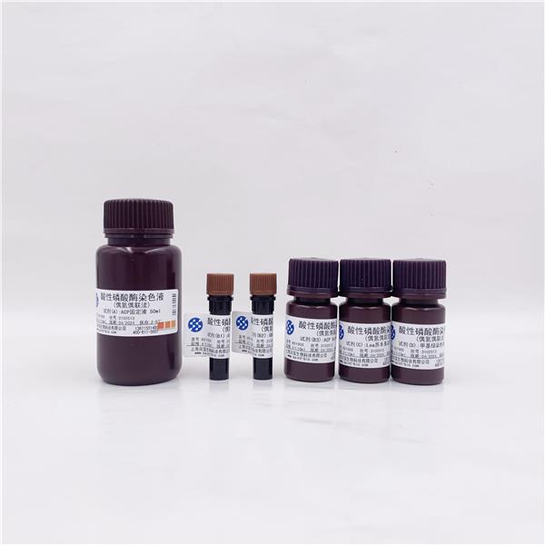 酸性磷酸酶染色液（偶氮偶联法）