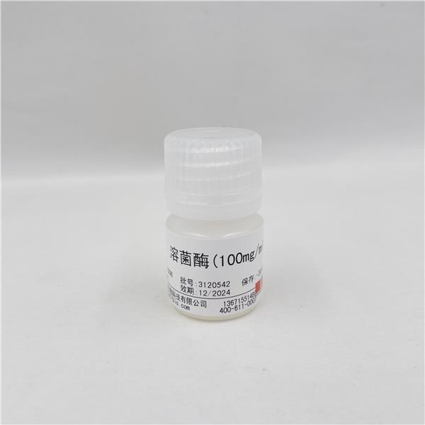 溶菌酶（100mg/ml）