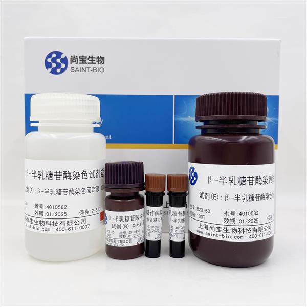 β-半乳糖苷酶染色试剂盒