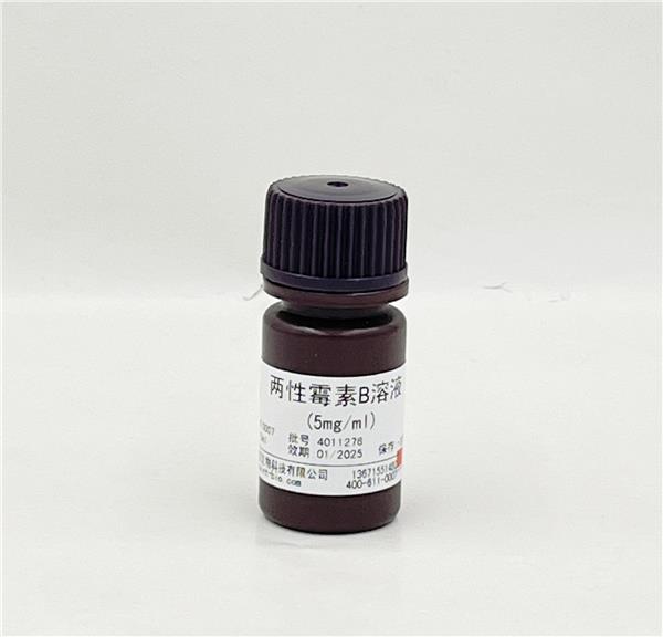 两性霉素B溶液（5mg/ml）