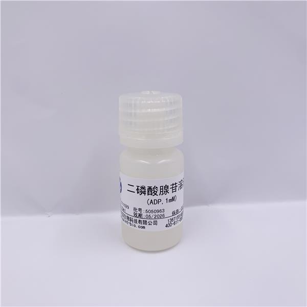 二磷酸腺苷溶液（ADP，1mM）