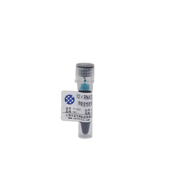 10×RNA甘油凝胶上样缓冲液（甲醛变性胶专用，含二甲苯青、溴酚蓝、EDTA）