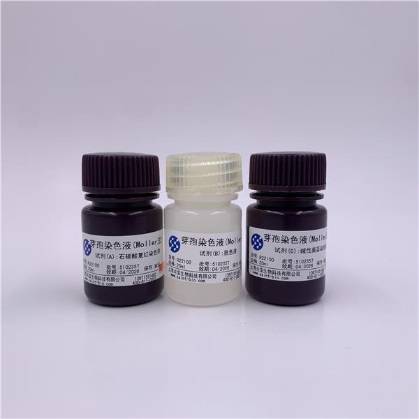 芽孢染色液（Moeller法）
