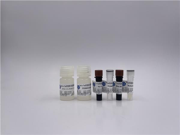 Amplex Red胆固醇与胆固醇酯检测试剂盒