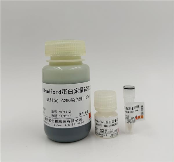 Bradford蛋白定量试剂盒