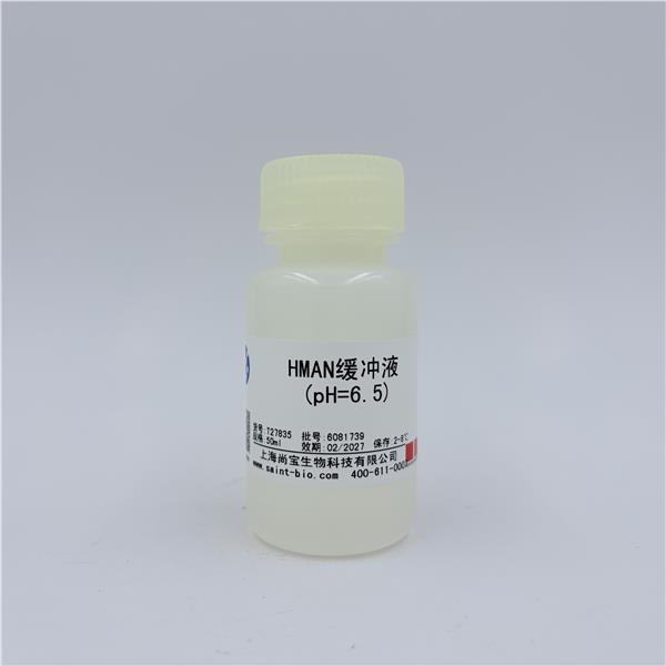 HMAN缓冲液（pH=6.5）
